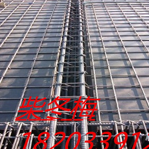 BMCHINA2pg电子022第20届中国（重庆）建博会主题展