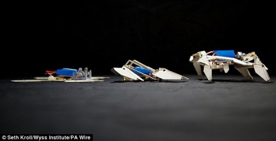 pg电子:
一个蝴蝶形的塑料平板竟然神奇地自动折叠为一个机器人机器人