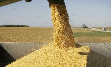 3亿民众把pg电子玉米“烧”掉美国的方法真的奏效吗