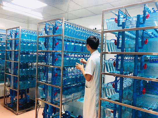 EVO视讯·(中国区)官方网站